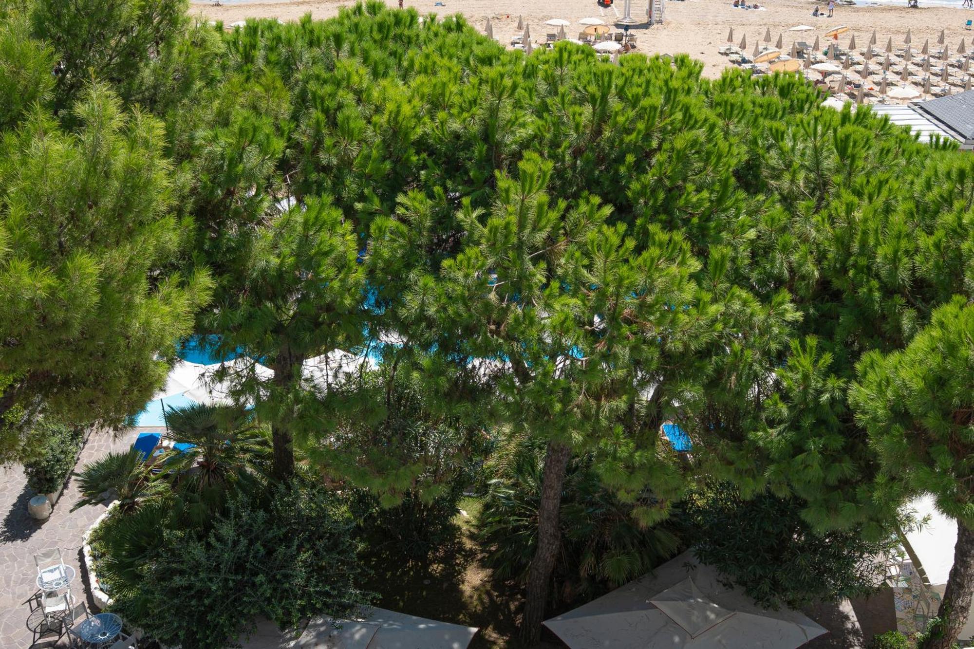 Majestic Hotel Lido di Jesolo